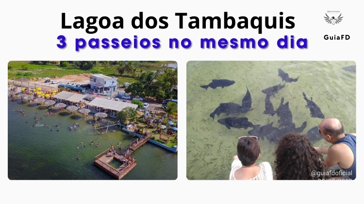 Imagem de vitrine
